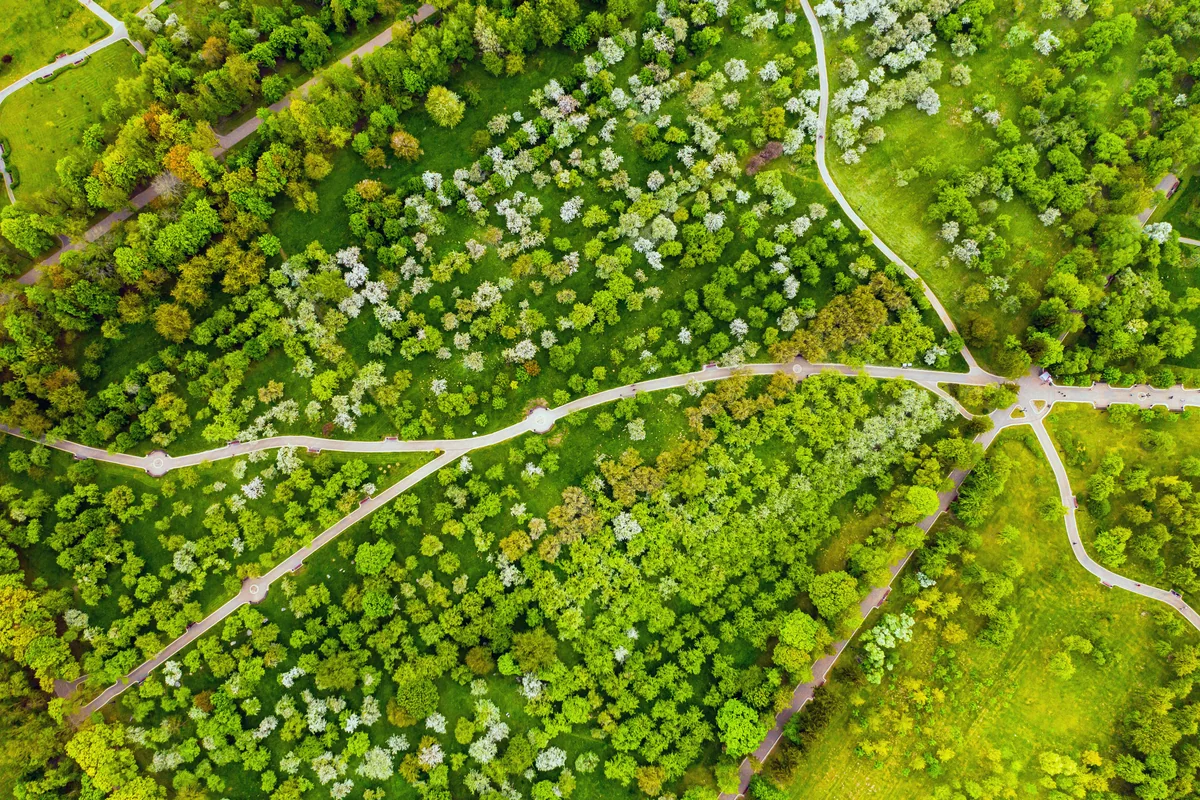 Park z drzewami i alejkami z lotu ptaka — zdjęcie poglądowe